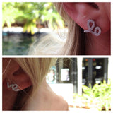 Love Earrings